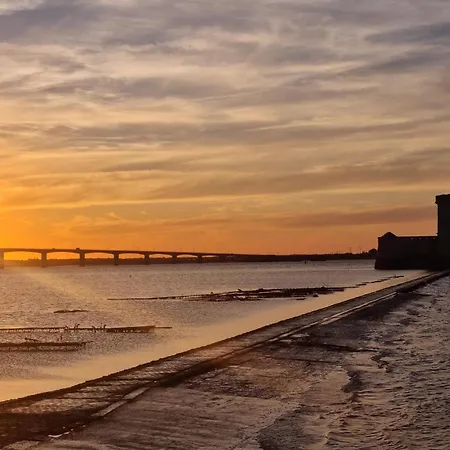 Pet Friendly Apartament