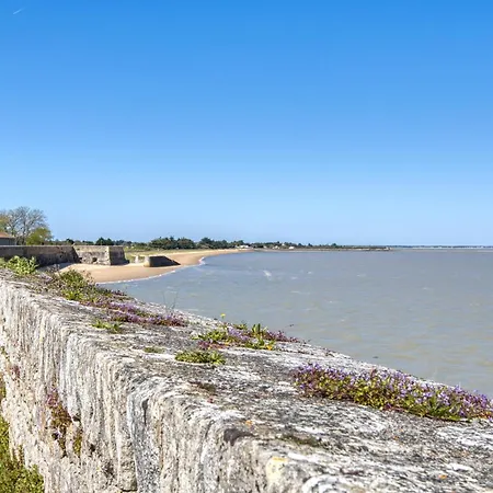 Pet Friendly Apartament Le Château-dʼOléron